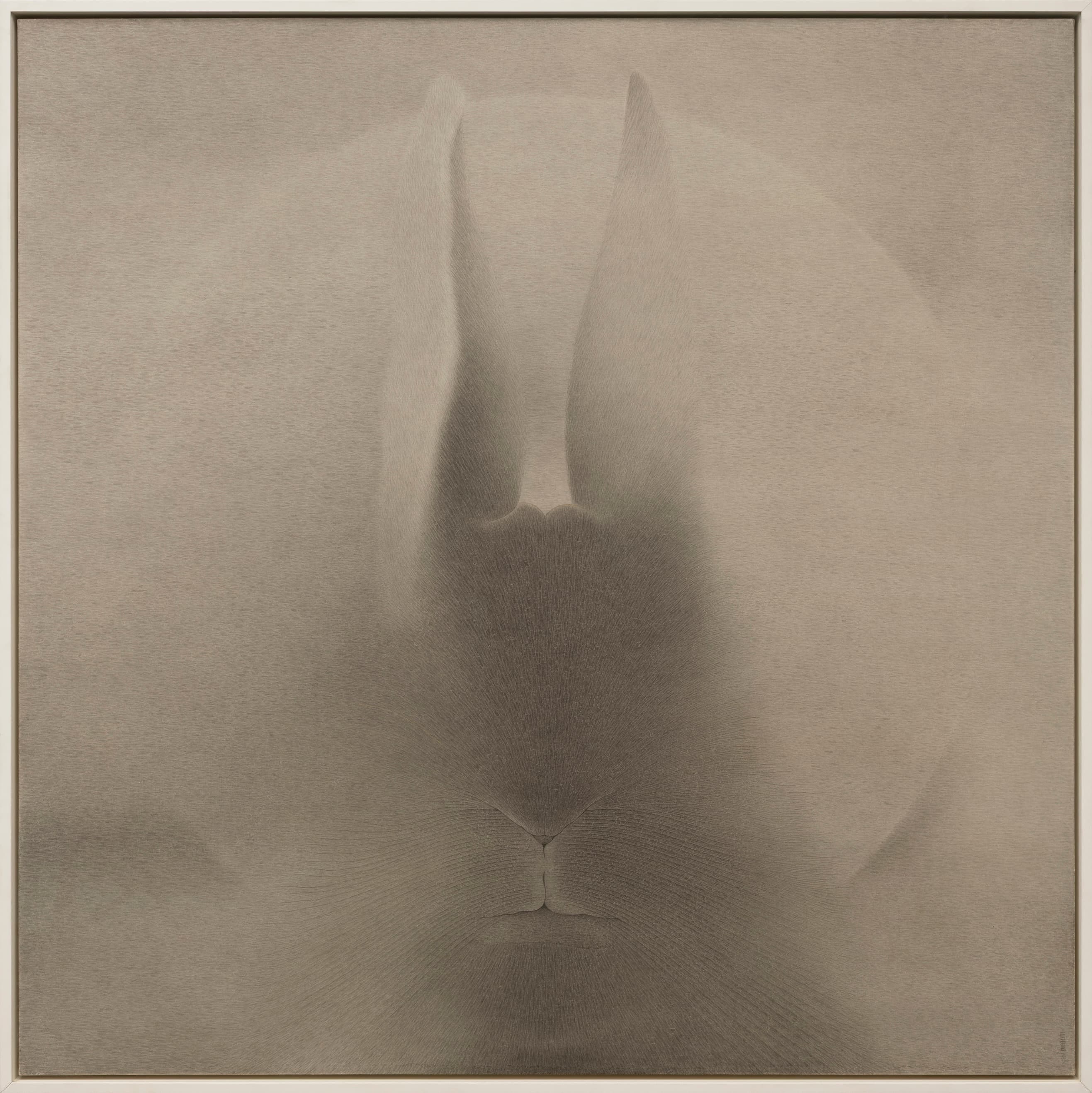 In the Name of the Rabbit-Back to the Light